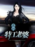 我的高手老婆