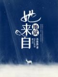 最似情深留不住