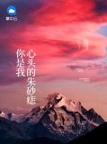 你是我心头的朱砂痣辛暖秦靳