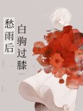 愁雨后白驹过膝乔思沐