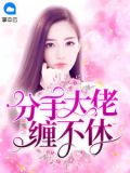 婚心荡漾：左先生宠妻如宝