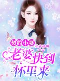 契约小妻：老婆，快到怀里来