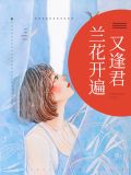 兰花开遍又逢君洛小梨