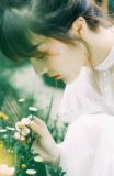 顾景莫向晚白