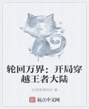 轮回万界：开局穿越王者大陆