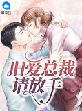 旧爱总裁请放手陆锦念