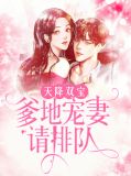 天降双宝：爹地宠妻请排队陆言溪霍景然