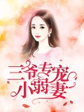三爷专宠小弱妻沈惜宁苏辞