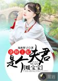 贪财王妃：夫君是个暖宝宝