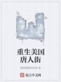 重生美国唐人街