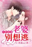 天价前妻，老婆别想逃