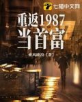 重返1987当首富李秀成