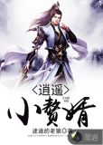逍遥小赘婿