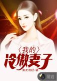 我的冷傲妻子