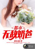 都市无敌奶爸