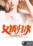 女婿归来