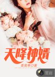 天降神婿