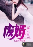 废婿，李小风