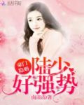 豪门隐婚：陆少，好强势