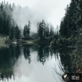 我在末世称帝了