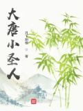 大唐小圣人