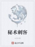 秘术刺客