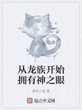 从龙族开始拥有神之眼