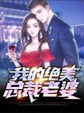我的绝美总裁老婆庄岩
