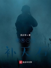 我有一个补天石