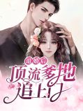退婚后，顶流爹地追上门席景深