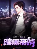 暗黑帝婿林凡