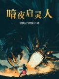 暗夜启灵人