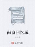 南京回忆录
