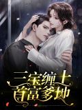 三宝缠上首富爹地夜肆深
