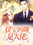 双宝妈咪是大佬顾挽情