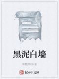 黑泥白墙