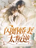 闪婚娇妻太叛逆卫敏敏顾墨璟