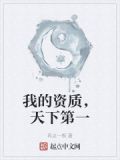 我的资质，天下第一