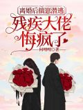 离婚后揣崽潜逃，残疾大佬悔疯了