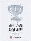 重生之我是维金斯