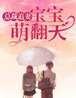 总裁追妻：宝宝萌翻天