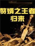 赘婿：我真的是万古大帝