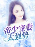 帝少宠妻太强势沈念