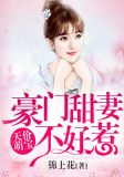 天价萌宝：豪门甜妻不好惹