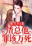 重生后，渣总追妻又翻车了