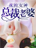 我的女神总裁老婆