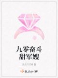 九零奋斗甜军嫂
