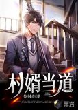 村婿当道