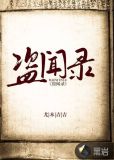 盗闻录