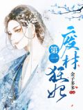 霸宠凰妃
